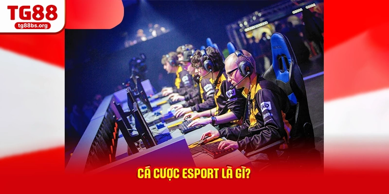 Cá cược esport là gì?