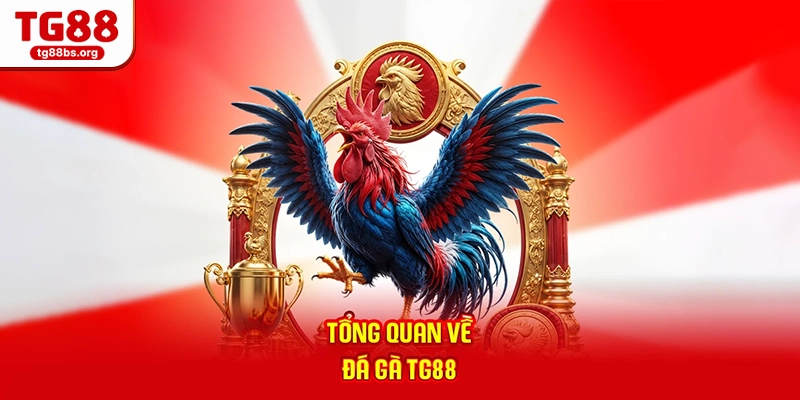 Tổng quan về đá gà TG88