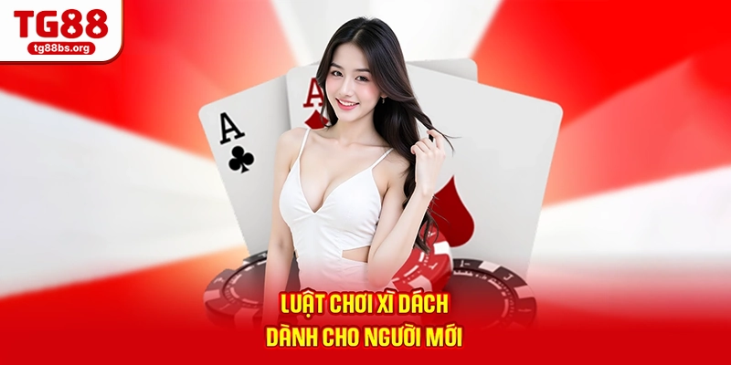 Luật chơi xì dách dành cho người mới
