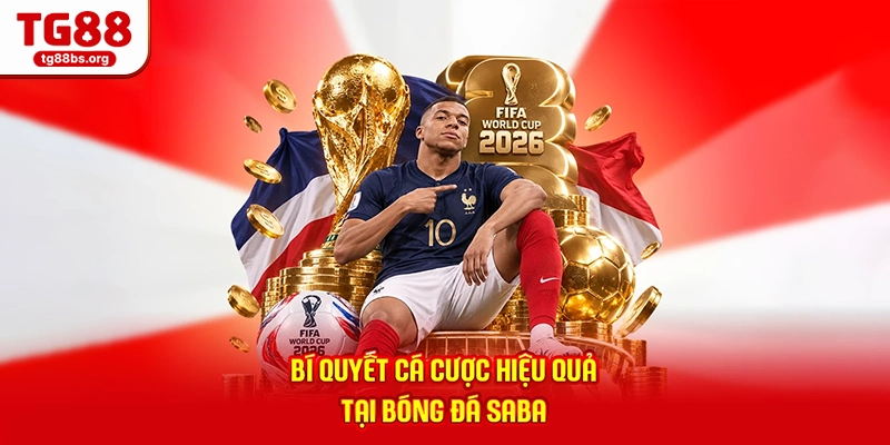 Bí quyết cá cược hiệu quả tại bóng đá Saba