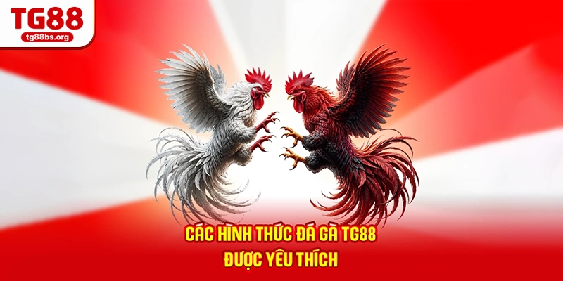 Các hình thức đá gà TG88 được yêu thích