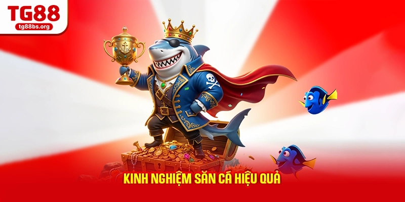 Bắn Cá Ăn Xu - Bí Kíp Kiếm Xu Nhanh Cho Mọi Hội Viên 2026 3 Kinh nghiệm săn cá hiệu quả