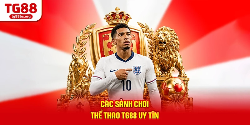 Các sảnh chơi thể thao TG88 uy tín