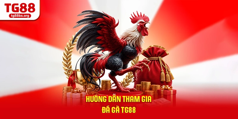 Hướng dẫn tham gia đá gà TG88