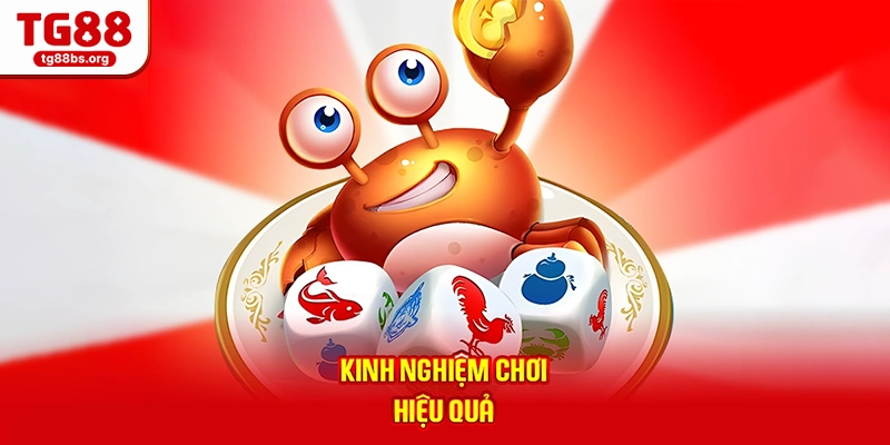 Kinh nghiệm chơi hiệu quả