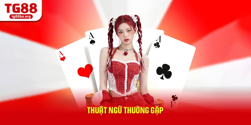 Thuật ngữ thường gặp