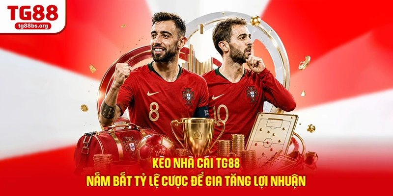 Kèo Nhà Cái TG88 - Nắm Bắt Tỷ Lệ Cược Để Gia Tăng Lợi Nhuận