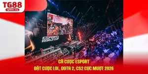 Cá Cược Esport - Đặt Cược LOL, Dota 2, CS2 Cực Mượt 2026