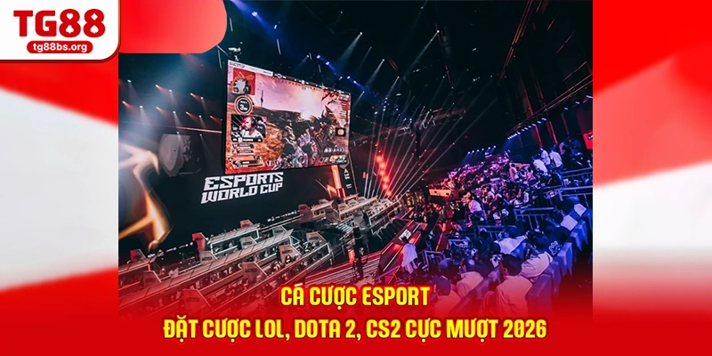 Cá Cược Esport - Đặt Cược LOL, Dota 2, CS2 Cực Mượt 2026