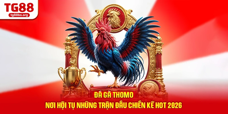 Đá Gà Thomo - Nơi Hội Tụ Những Trận Đấu Chiến Kê Hot 2026
